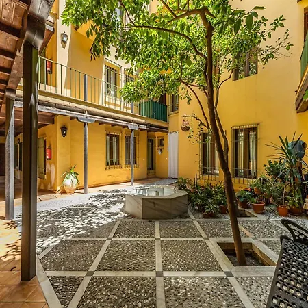 Waou Andalusian Soul Centre *